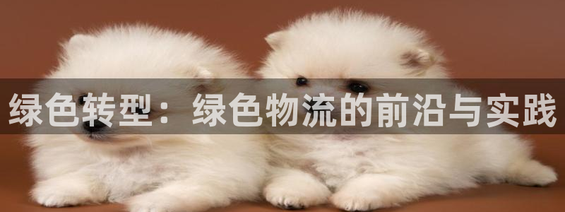 狗子28合法吗:绿色转型:绿色物流的