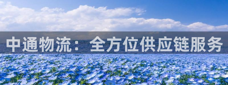 狗子28黑钱:中通物流:全方位供应链