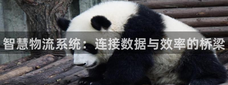 狗子28充值不处理会怎么样