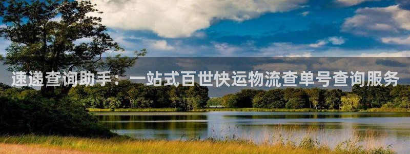 狗子28连接：速递查询助手：一站式百世快运物流查单号查询服务
