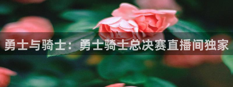 绿茵直播体育免费观看lyzb：勇士与骑士：勇士骑士总决赛直播间独家