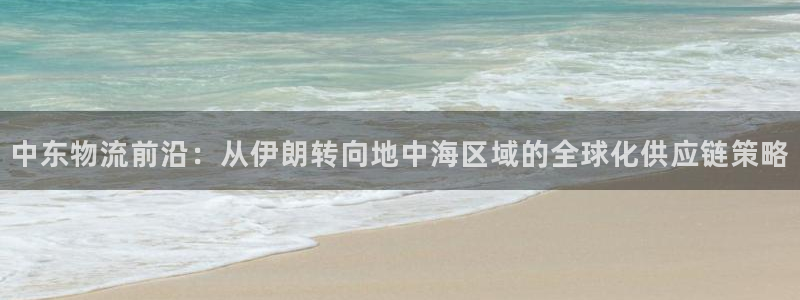 狗子28是什么软件：中东物流前沿：从