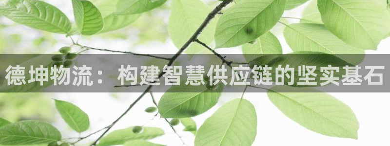 狗子28充值为什么充不了：德坤物流：构建智慧供应链的坚实基石