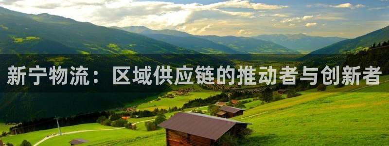 狗子28娱乐官网网页下载：新宁物流：