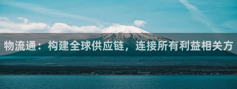 狗子28官网下载：物流通：构建全球供