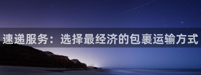 狗子28模拟器在线玩：速递服务：选择