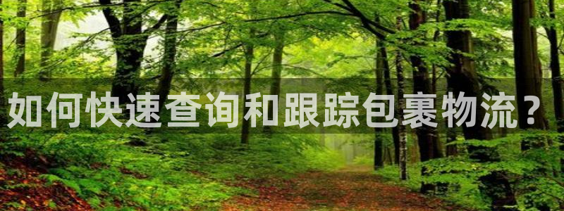狗子28人头费：如何快速查询和跟踪包
