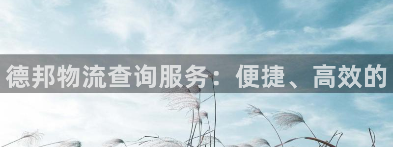 狗子28网站怎么注册：德邦物流查询服