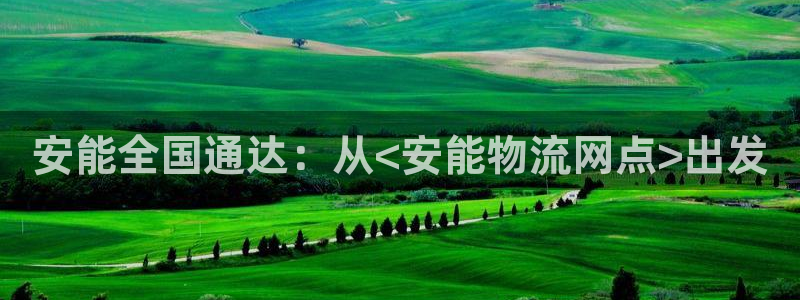 狗子28网站平台：安能全国通达：从<