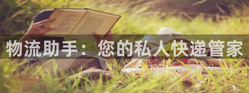 狗子28如何退款：物流助手：您的私人