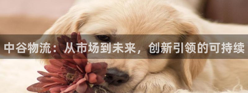 狗子28如何注销账号：中谷物流：从市