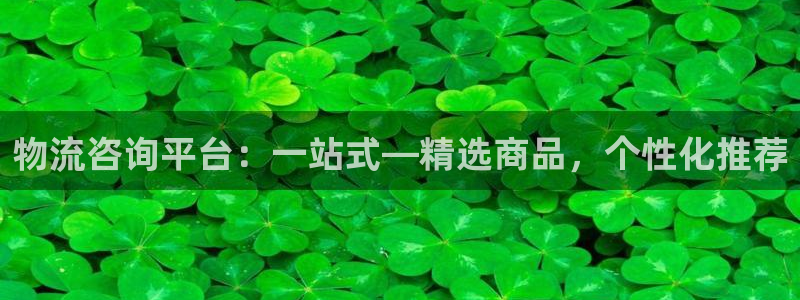 狗子28自行车图片大全