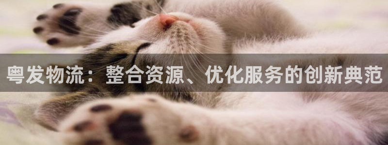 狗子28注册登录：粤发物流：整合资源