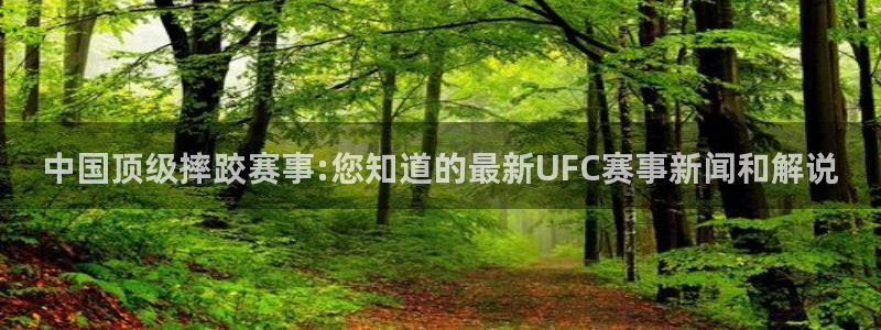 绿茵nba直播