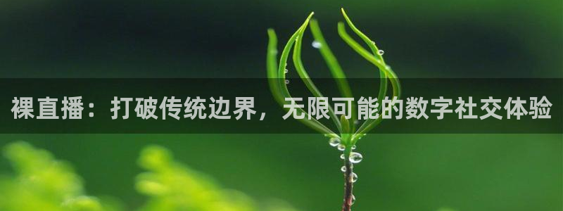 绿茵足球直播在线观看
