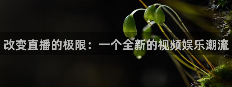 nba直播绿茵直播