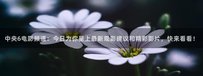绿茵直播nba：中央6电影频道：今日为你呈上最新观影建议和精彩影片，快来看看！