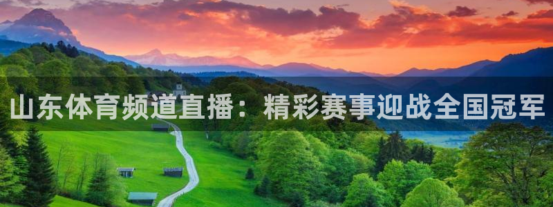 绿茵体育在线观看：山东体育频道直播：精彩赛事迎战全国冠军