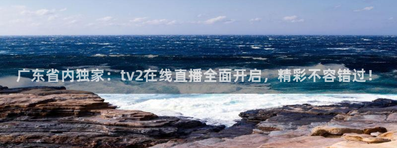 绿茵足球直播免费观看：广东省内独家：tv2在线直播全面开启，精彩不容错过！