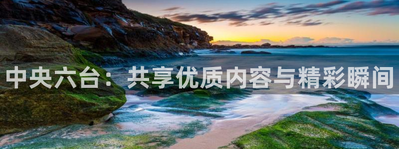 [足球]绿茵魔术师：中央六台：共享优质内容与精彩瞬间