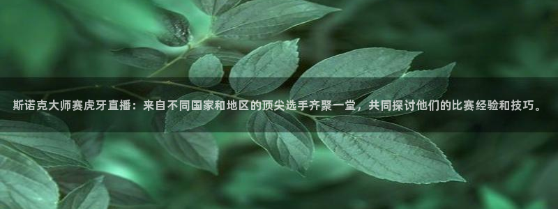 绿茵体育直播cba：斯诺克大师赛虎牙直播：来自不同国家和地区的顶尖选手齐聚一堂，共同探讨他们的比赛经验和技巧。