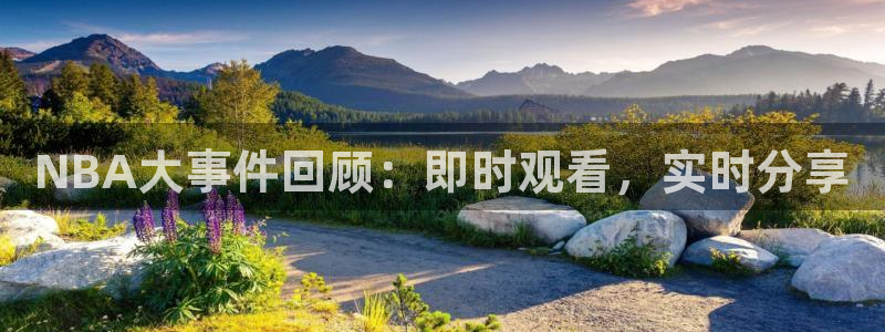绿茵足球直播：NBA大事件回顾：即时观看，实时分享