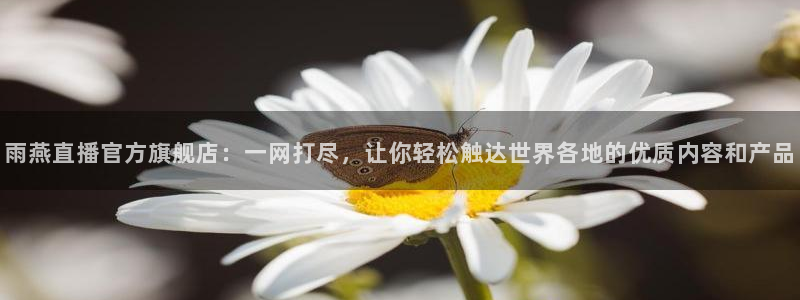 nba直播绿茵直播：雨燕直播官方旗舰店：一网打尽，让你轻松触达世界各地的优质内容和产品