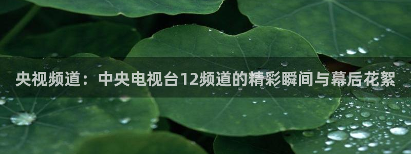 绿茵直播体育app下载安装最新版：央视频道：中央电视台12频道的精彩瞬间与幕后花絮